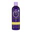 HASK Оттеночный фиолетовый шампунь для светлых волос / Blonde Care Purple Shampoo 355 мл 30412 30412