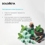 Solomeya Fresh Breath Mouth spray Green tea / Освежающий спрей для полости рта Зеленый чай, 20 мл MS002