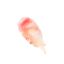 Solomeya Unicorn salt body scrub Chewy candy/ Солевой скраб для тела Мармелад, 350 гр BS001