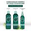 HASK Освежающий шампунь с  маслом чайного дерева и розмарином / Tea Tree Oil & Rosemary Invigorating Shampoo 355 мл 30191 