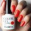 Гель-лак Solomeya Color Gel Shiraz/Шираз 10