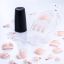 Kiss Broadway Твердый лак Импрессс Педикюр "Шампань" Impress Manicure BIPDT010