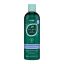 HASK Освежающий шампунь с  маслом чайного дерева и розмарином / Tea Tree Oil & Rosemary Invigorating Shampoo 355 мл 30191 