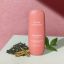 HAAN Зубная паста с пребиотиками  Душистый чай и мята / TOOTHPASTE LIFE'S A BEACH, 50 мл