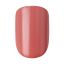 Kiss Твердый лак Импресс Маникюр Акцент "Оттенки заката", длина короткая Impress Manicure Color KIM001C