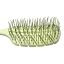 Solomeya Массажная био- расческа для волос  Зеленая / Scalp massage bio hair brush Green, 1 шт