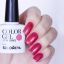 Гель-лак Solomeya Color Gel Rosе/Розовый 19
